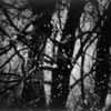 <p><span style="font-size: 80%;">Ohio, 2004<br /><em>Winter in Ohio</em><br /> Toned gelatin silver print<br /> 22 x 24" </span></p>