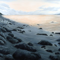 <p>Freya Grand<br /><em>Beach </em><br />2007<br />Oil on canvas<br />48" x 60"</p>