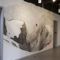 Installations and Murals