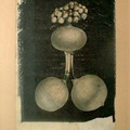 <p>George Herms<br /><em>Burpee Seeds</em><br />1962<br />Collage<br />18" x 12"</p>