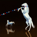 <p>Jamie Treadwell<br /><em>Capture and Rescue</em><br />2008<br />Oil on panel<br />22" x 22"</p>