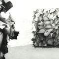 <p>Joan Wadleigh Curran<br /><em>Recycling</em><br />2010<br />Charcoal on paper<br />22 1/2" x 30"</p>