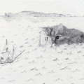 <p>Anne Canfield<br /> Sea Monster<br /> 2008<br /> Graphite on Paper<br /> 4 &frac12;” x 6 &frac12;”</p><br/><p>Placed in a Private Collection</p>
